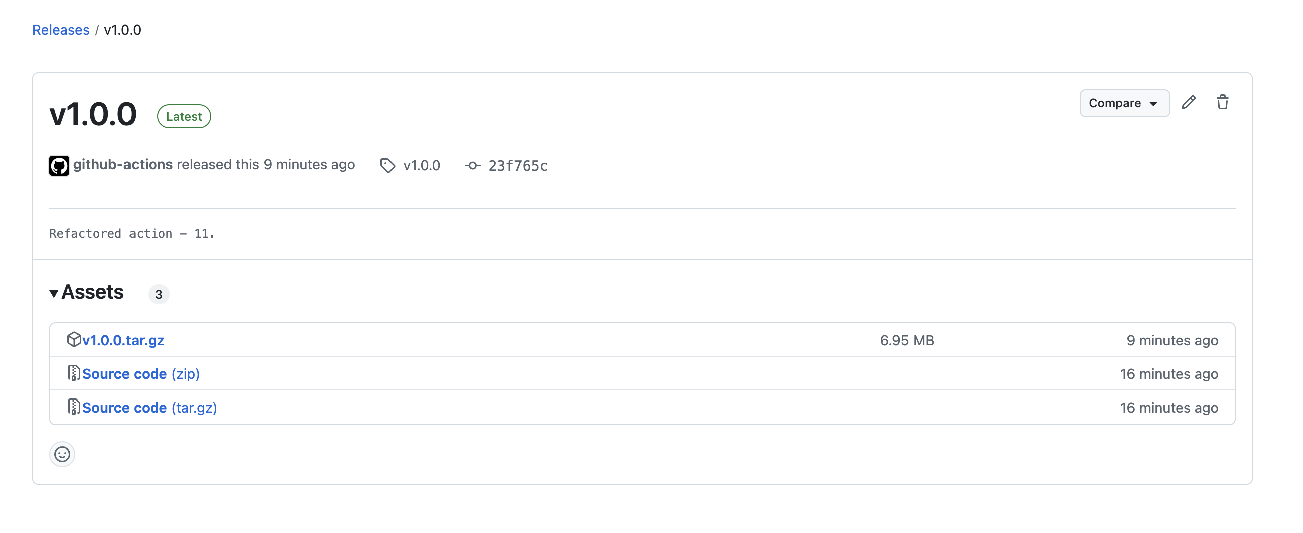 We can find our binary in the release assets.